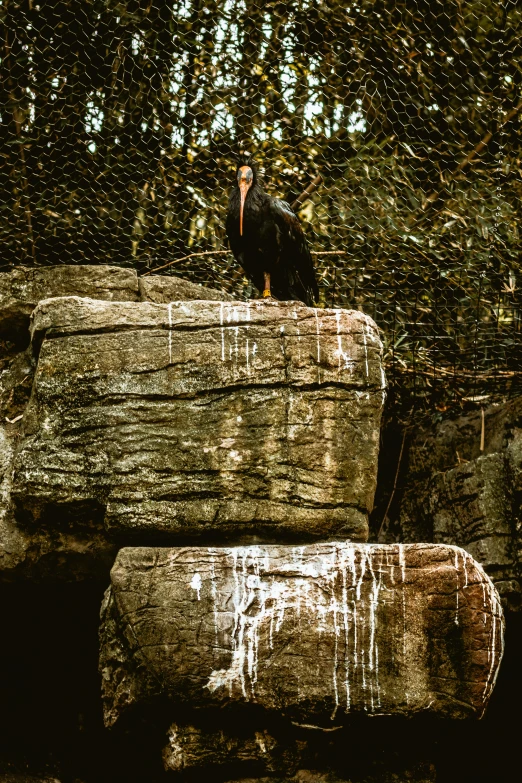 a man in a suit standing on top of large wooden logs