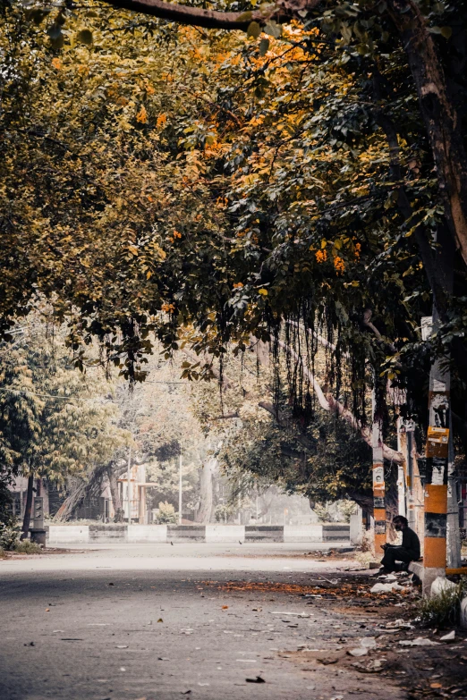 a man sitting on a park bench beneath trees