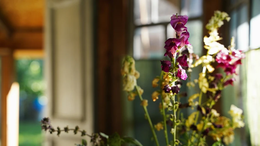 some purple flowers are in a vase on the table