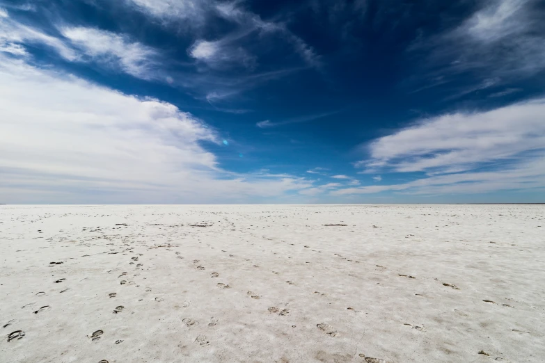 a large expanse of dirt with small footprints running through the snow