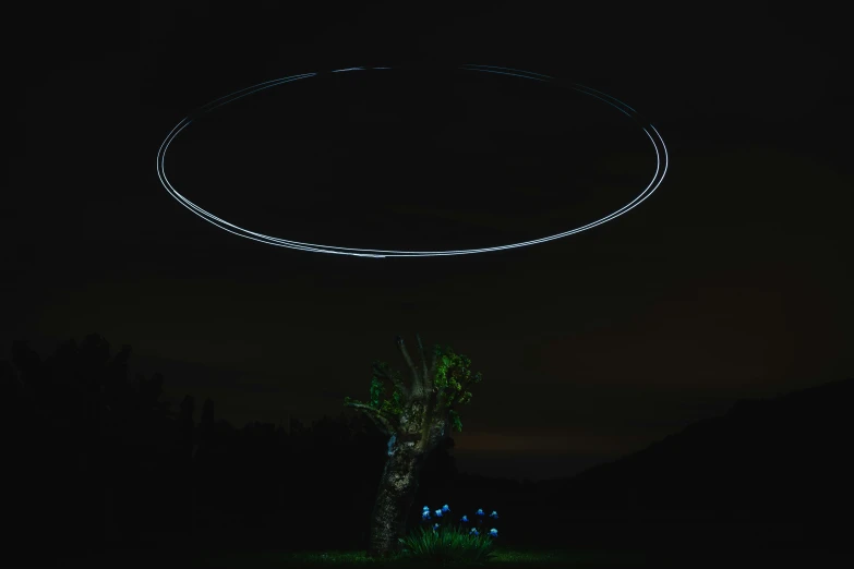 an image of a strange circle over trees