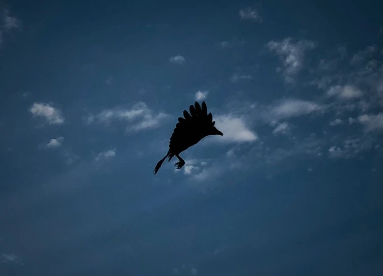 an eagle in flight in front of the sun