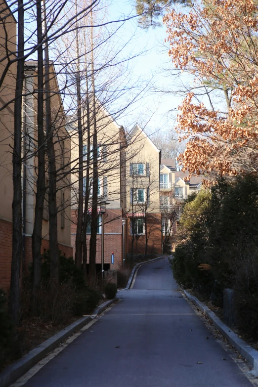 residential building lined street in the fall of 2012