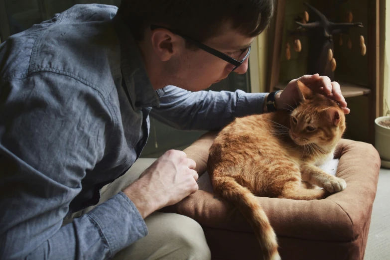 a man petting an orange cat in a room