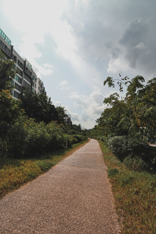 an empty road between two large buildings with green trees on each side