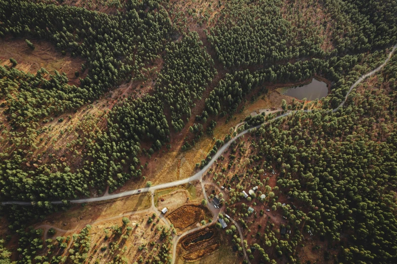 aerial view of road winding through wooded area