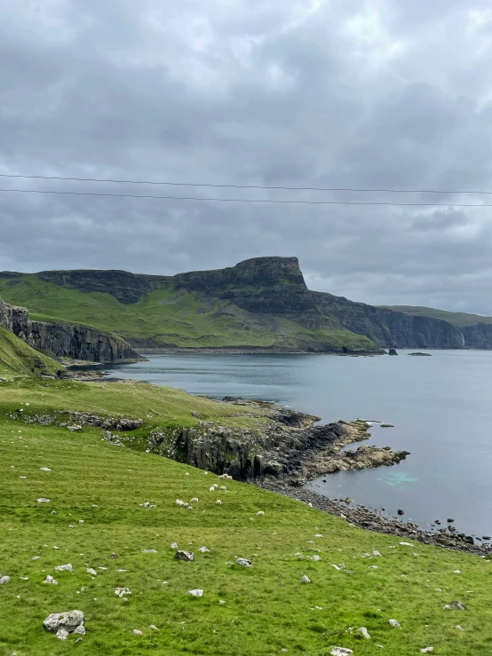 a group of sheep grazing on a lush green hillside