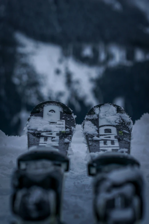 two skis that have snow and trees in the background