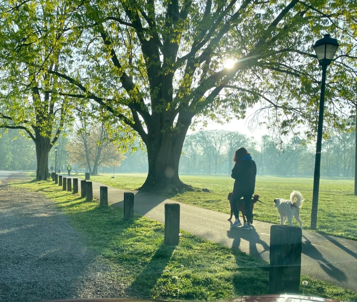 a person and a dog walking down a sidewalk