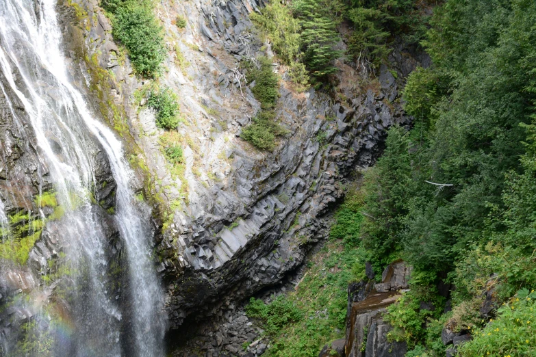 there are very many waterfalls in the woods