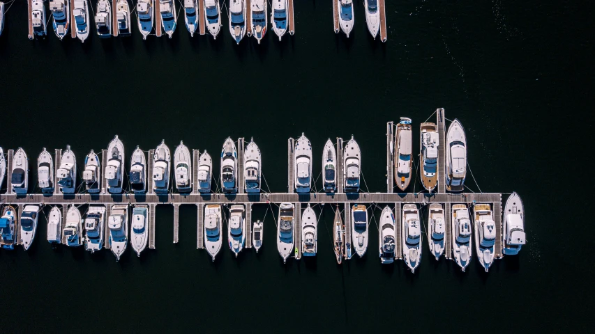 a group of boats parked together in the water