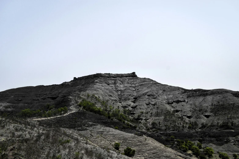 a bird flies by a huge hill with trees