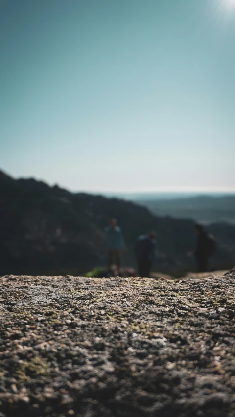 a field with a group of people on top of it