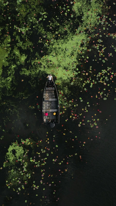 an aerial view of a boat in green water