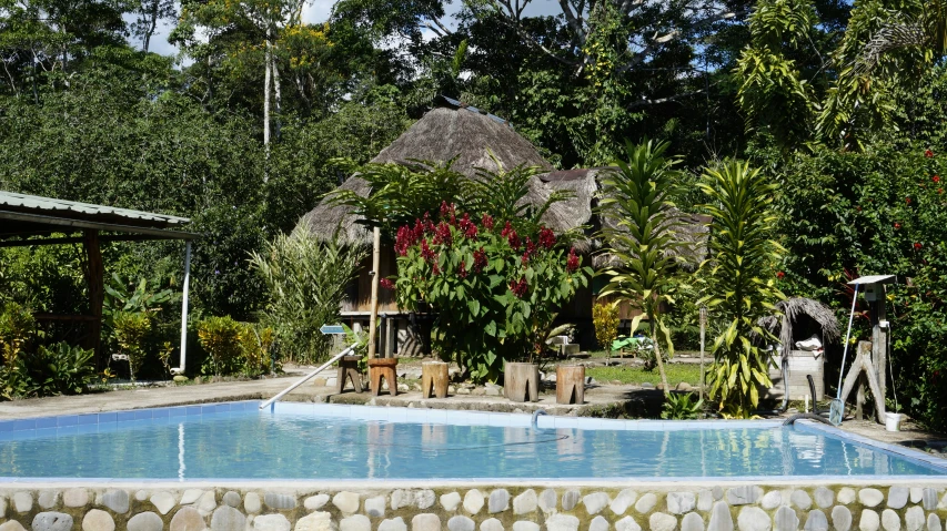 a tropical resort pool is surrounded by greenery