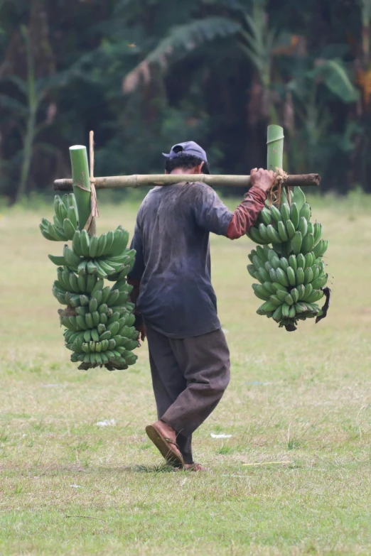 a man carrying green bananas up a hill