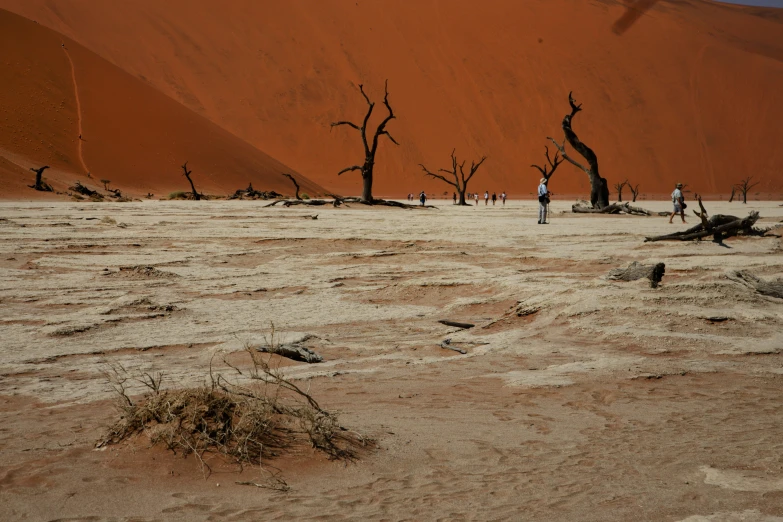 three people are standing in a barren desert