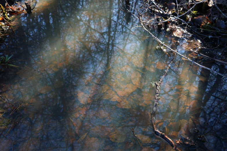 the sun is shining in the water and the trees reflected