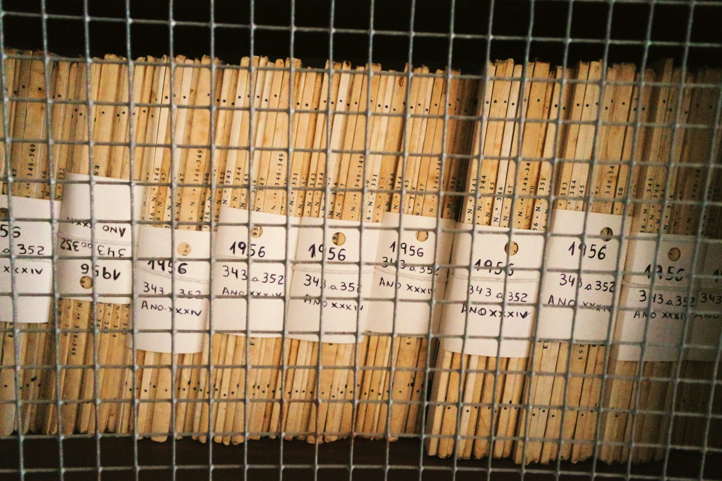 wooden sticks piled up in a pen
