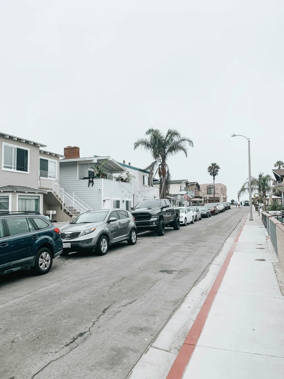 the road on the side is littered with cars and trees