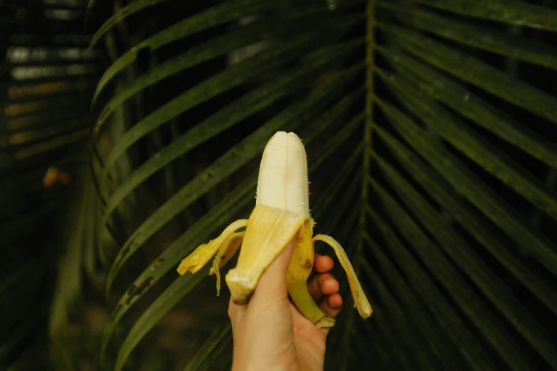 there is a person holding a banana that is in their hand