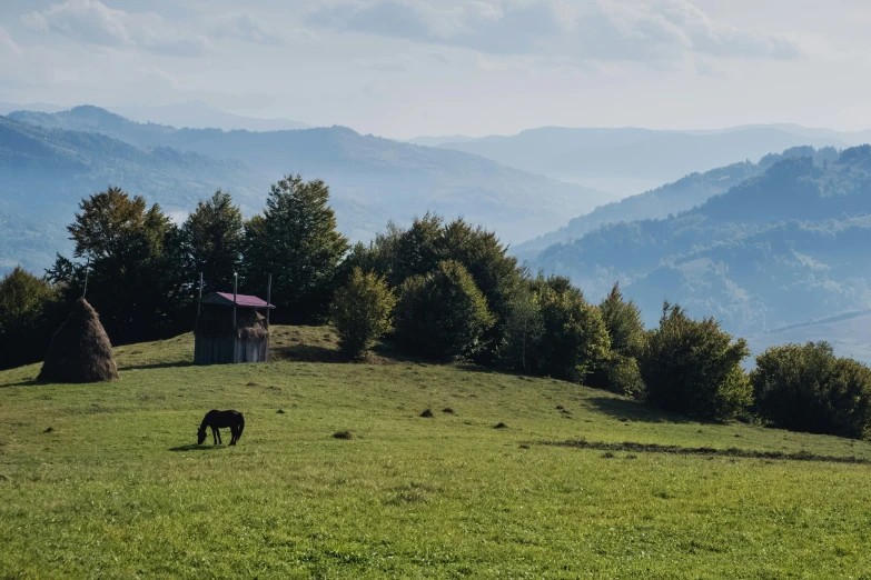 a cow grazes in a green field with mountains behind it