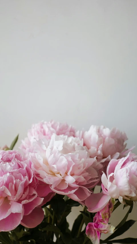 a large vase filled with pink flowers on a table