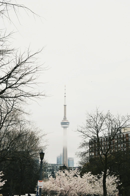 a city skyline with the cn tower in the background