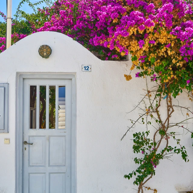 a white painted building and a tree with purple flowers