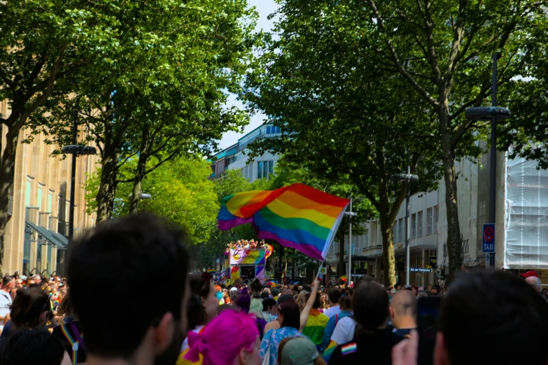 a crowd is shown under the trees with a rainbow kite