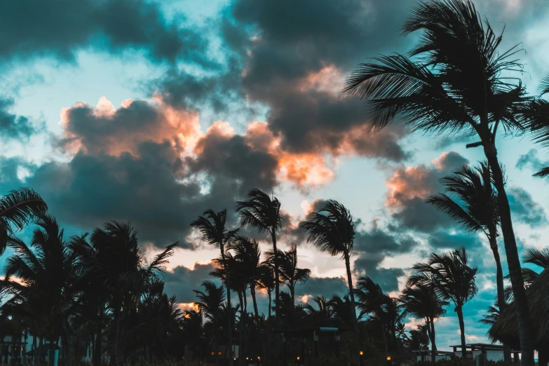 clouds in the sky with palm trees and bench