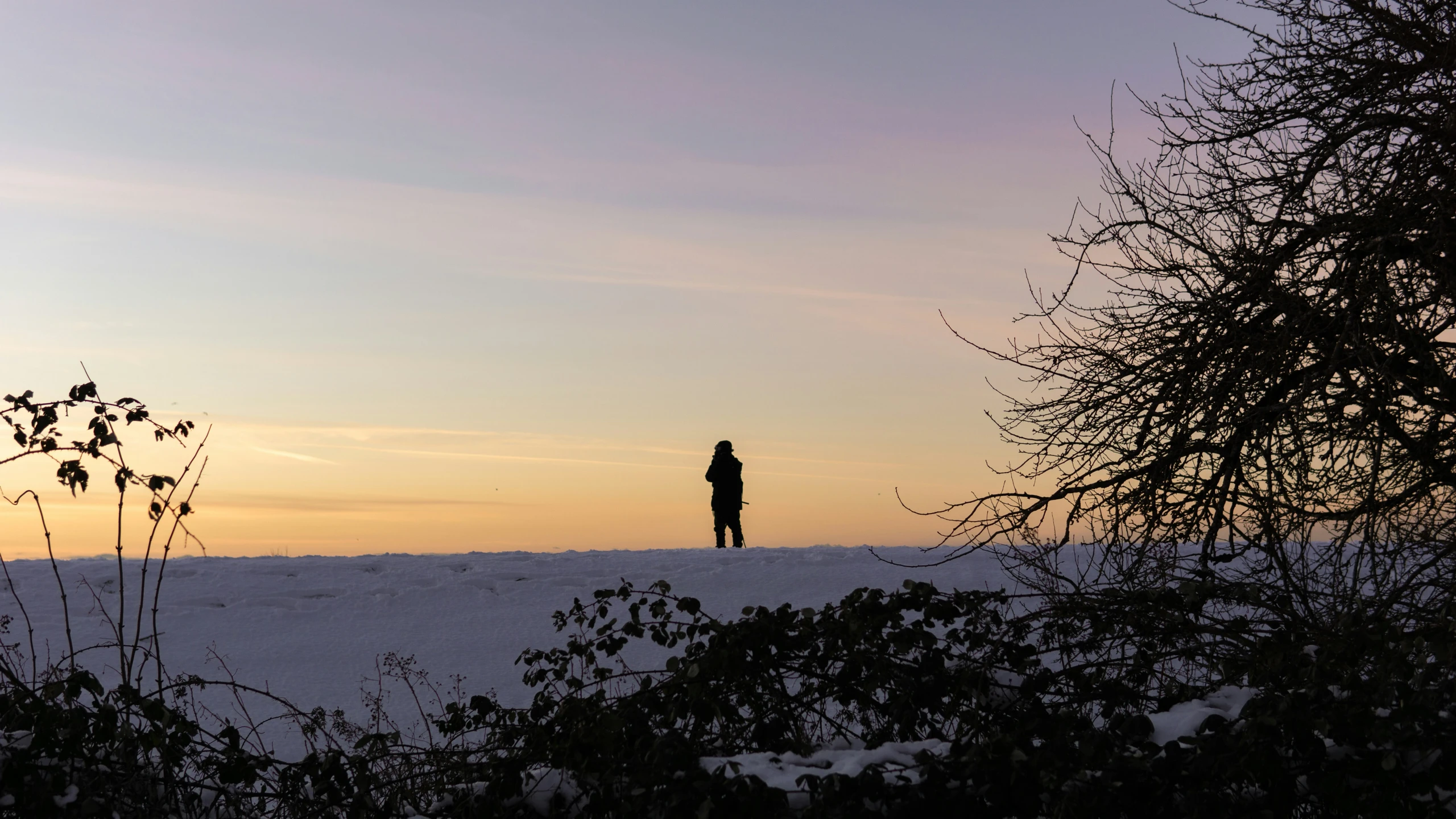 the silhouette of a man stands looking out into the distance