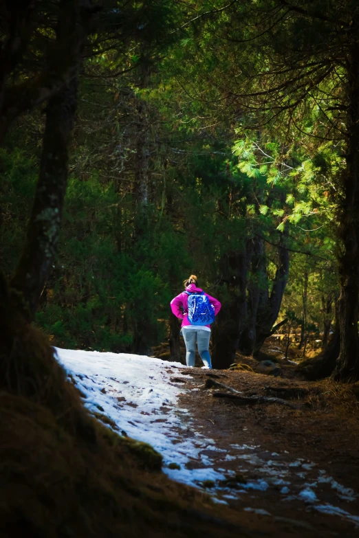 a person stands on a path in the middle of a forest