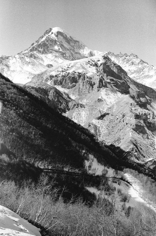 black and white image of mountains, snow and trees