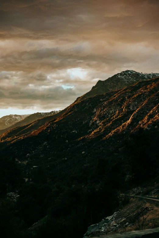 dark green mountains with some trees in the foreground