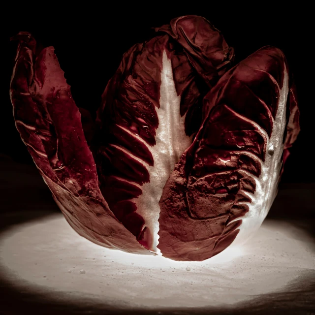 the underside of a large vegetable, with its outer sections exposed