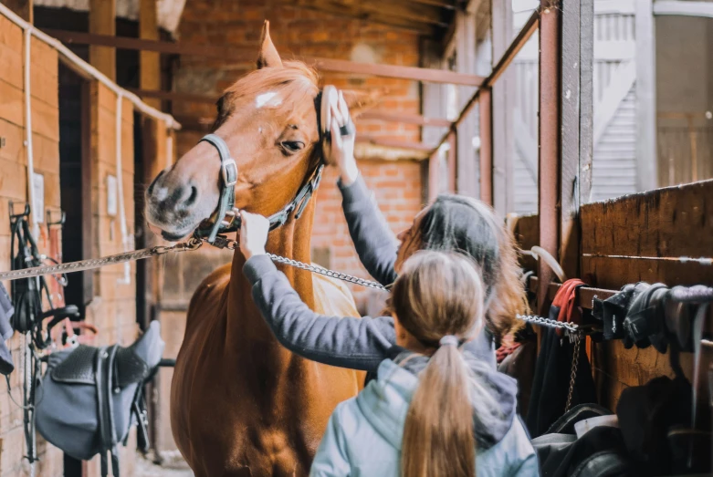 two s petting a horse while other people look on