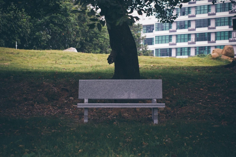 a park bench is sitting beneath a tree