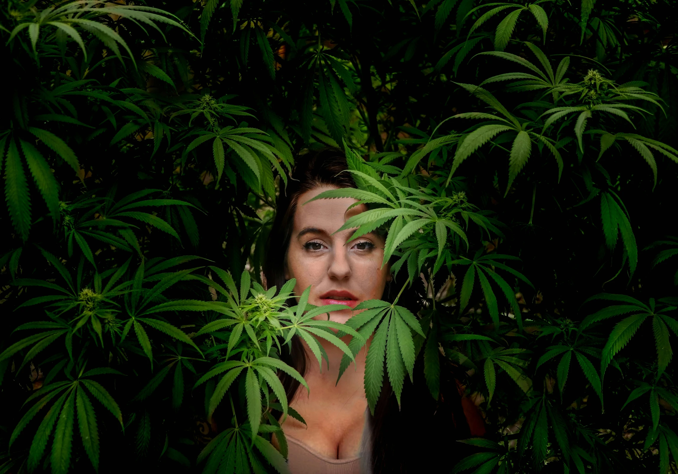 the young woman is hiding behind some green leafs