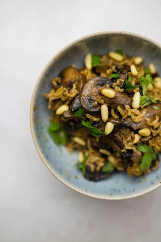 a blue bowl filled with mushrooms and rice