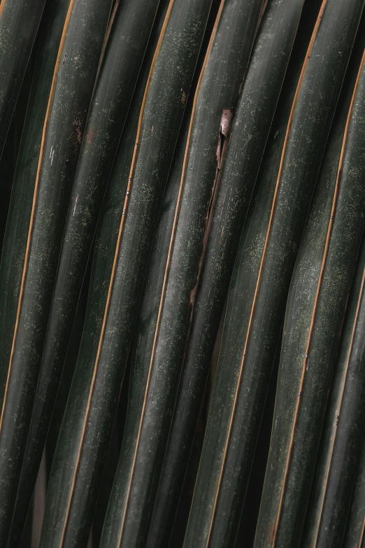 a closeup po of green leather like material