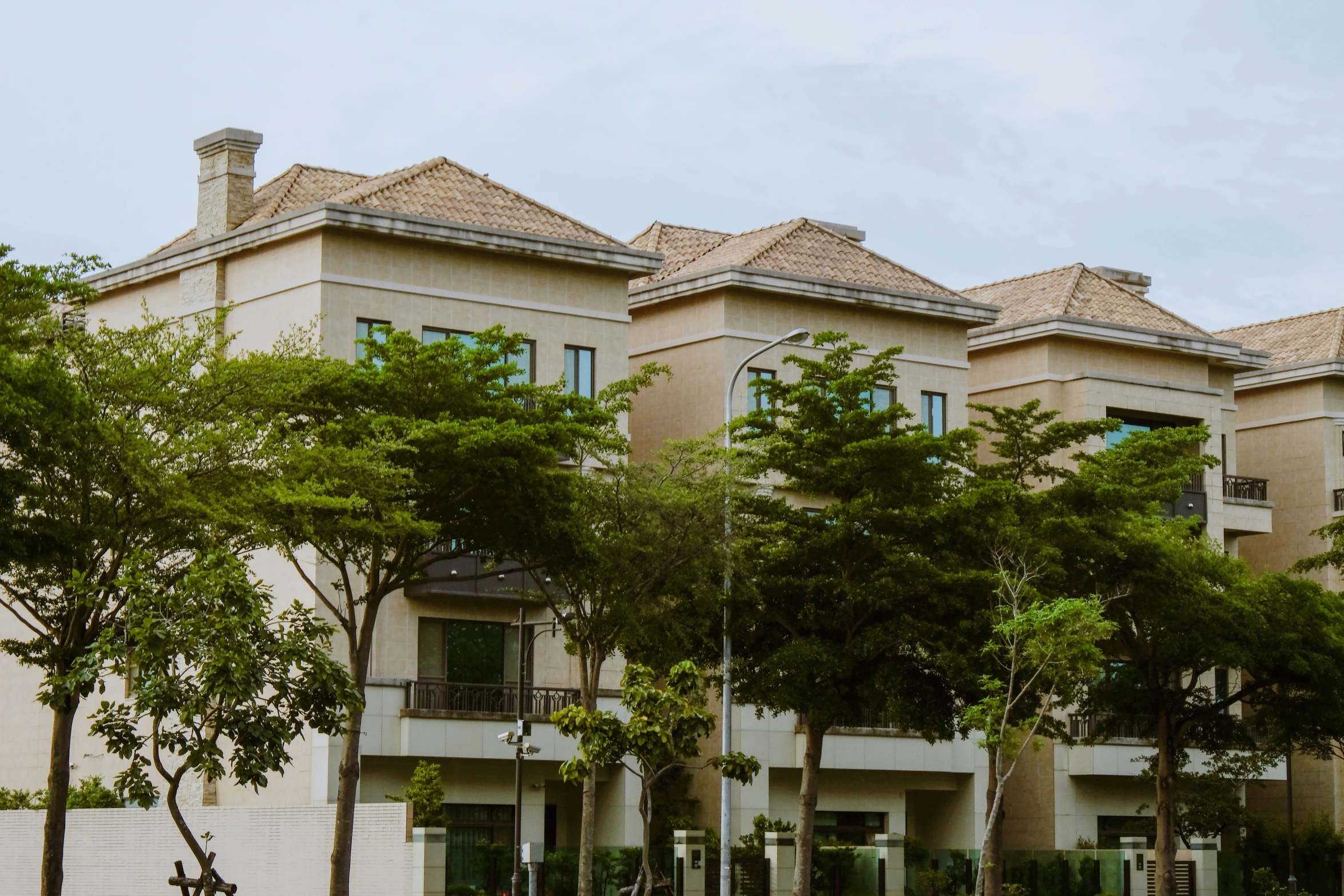 the houses are lined up against the tree line