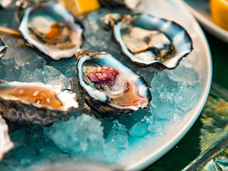 oysters on ice with lemon slices on the side