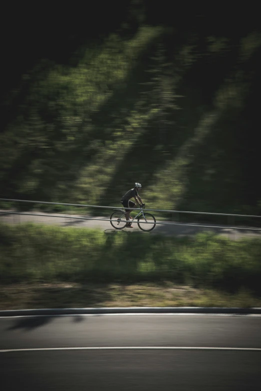 a man rides a bike down a tree lined road