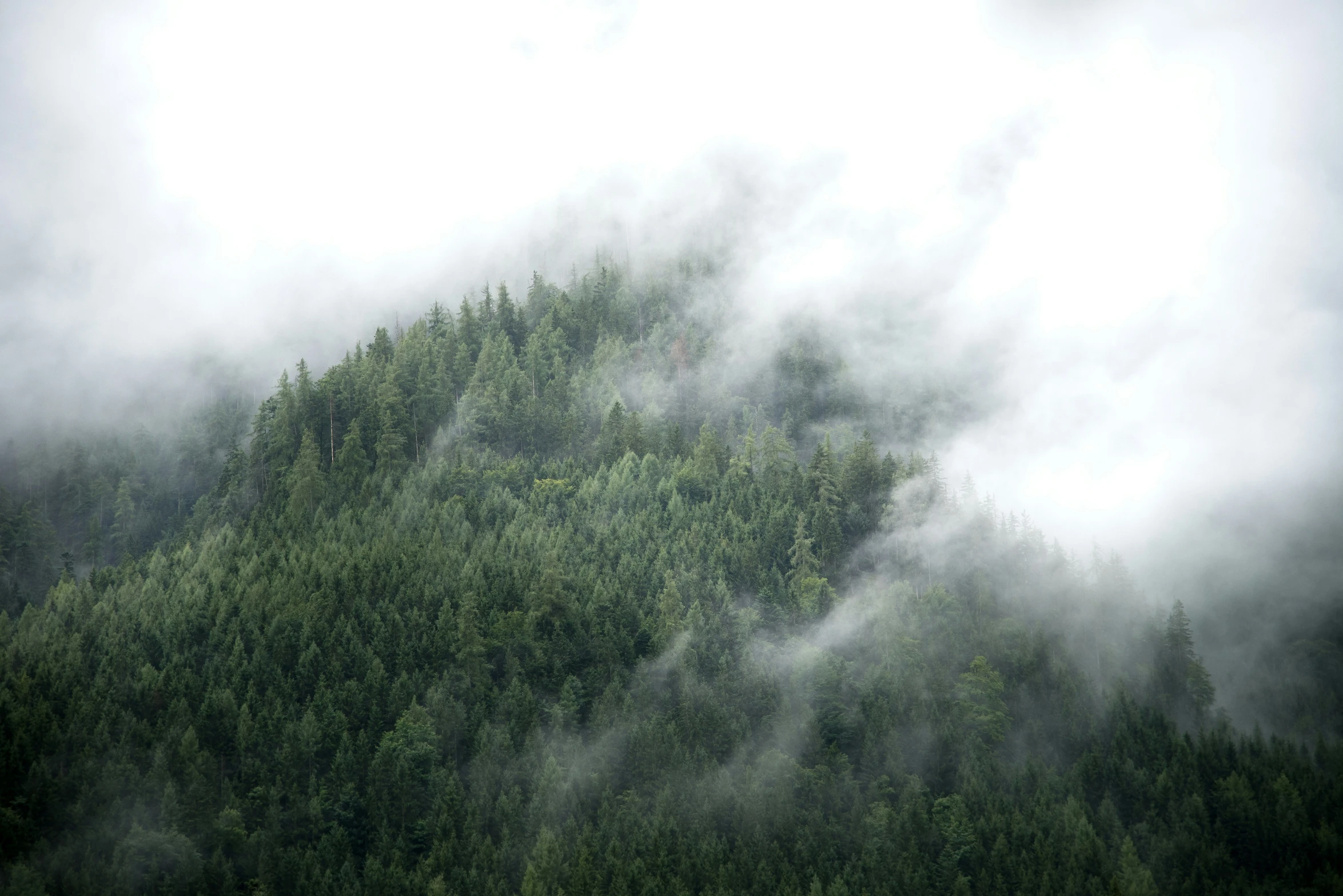 an image of a mountain that appears to be very tall