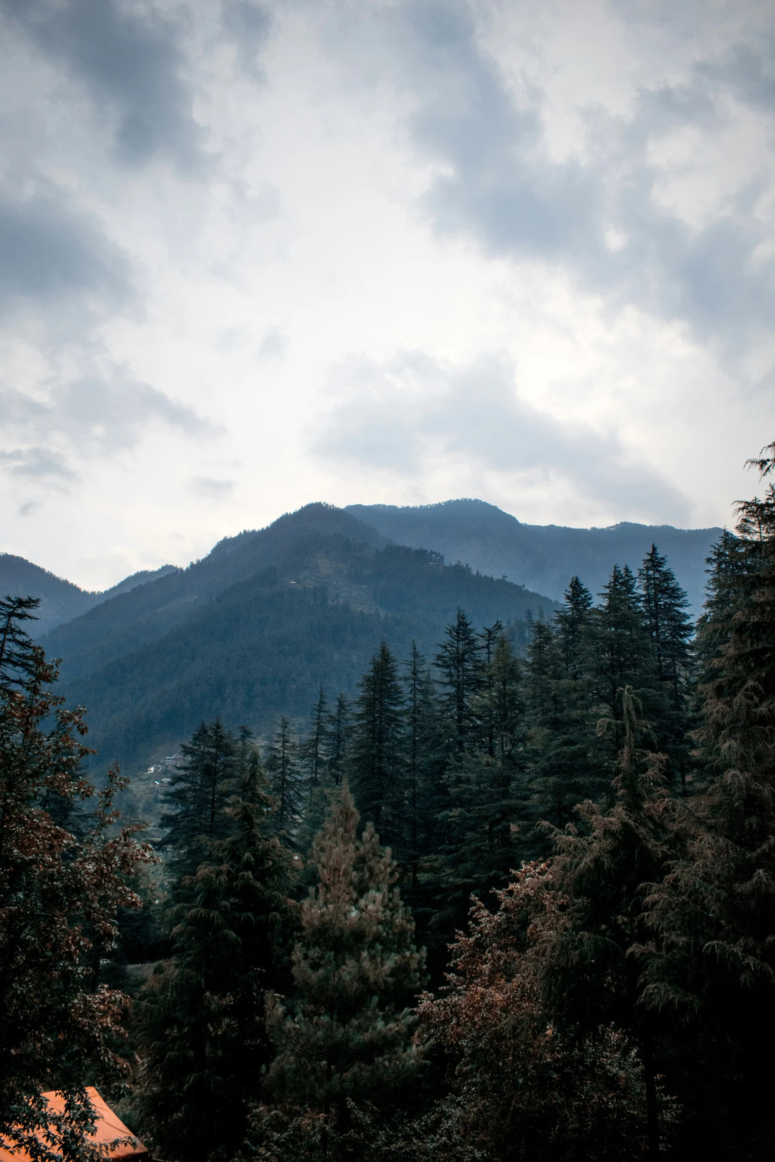 a distant view of a tree covered hill