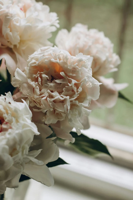 a bunch of white flowers sitting on a table