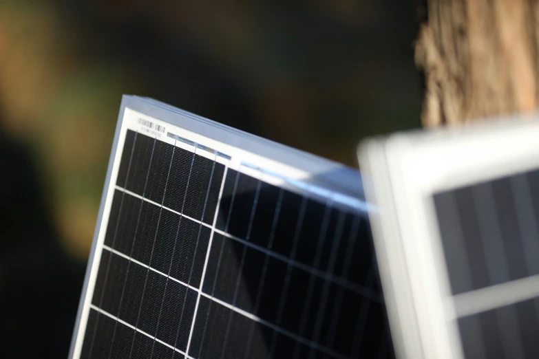 a close up po of a small solar panel on a tree