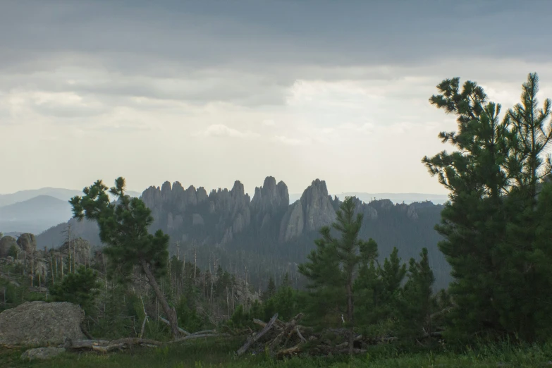 this is a picture of a tree line with a mountain in the background