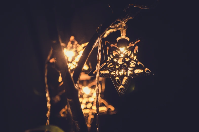 three lights that are on top of a plant